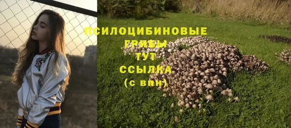 дурь Верхнеуральск