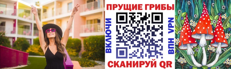 KRAKEN как войти  Кимовск  Галлюциногенные грибы Cubensis 