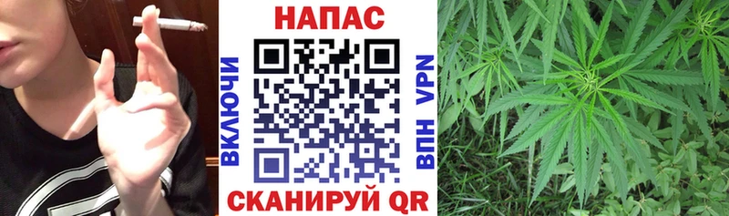 Бошки марихуана Amnesia  Кимовск 